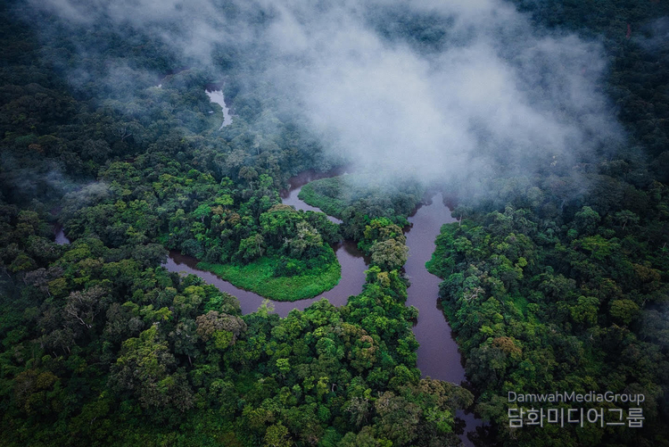 맹그로브 해양국립공원 (Parc Marin des Mangroves)