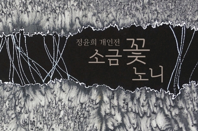 정윤희 작가 개인전 “소금 꽃 노니”
