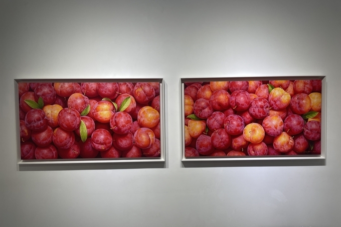 풍요와 생명력, 평안과 행복을 기원하는 마음들을 화폭에 담는 이창효 개인전 ‘풍요’