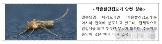 전국에 일본뇌염 경보 발령…예방접종 권고